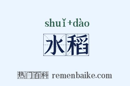 水稻是什么意思的图片